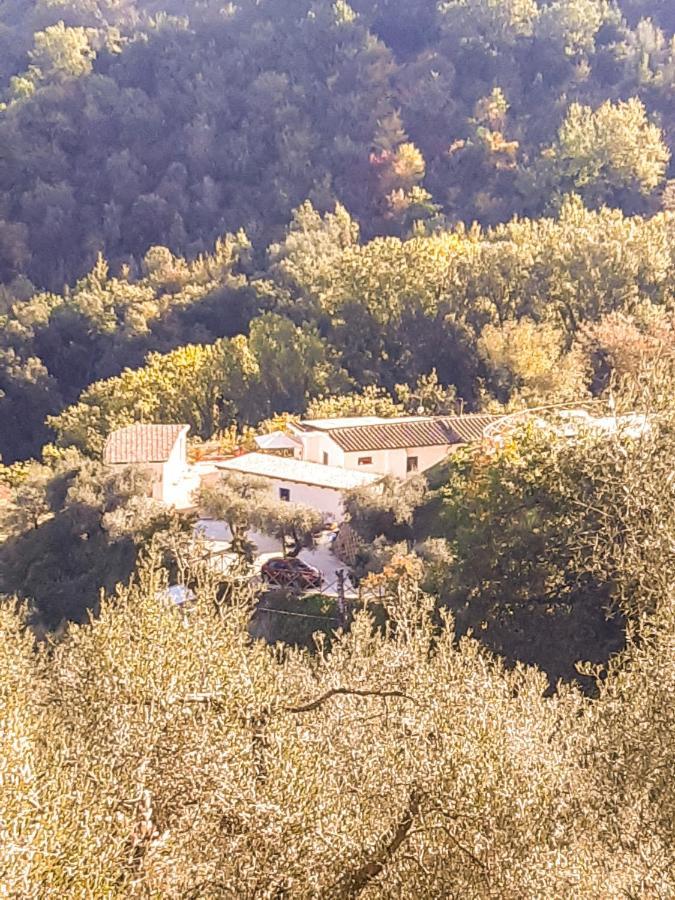 Bed and Breakfast La Dimora Degli Angeli Perugia Exterior foto